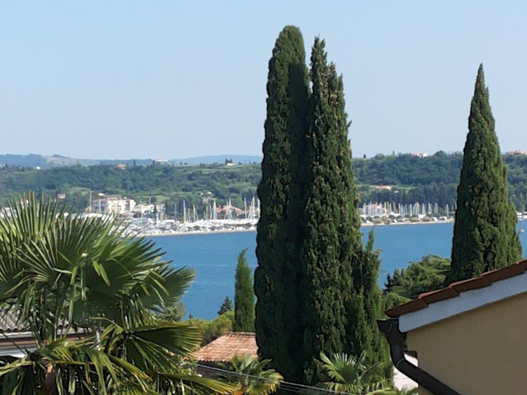 Apartment Solinska Pot Portoroz Room photo